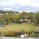 부엉이펜션 이미지