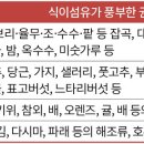 요구르트·도토리묵·알로에 등 치질에 도움 치질과 영양 ＜3＞ 이미지