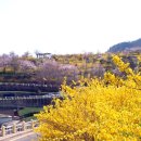 유동로 35 이미지