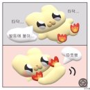 팀스쿠치나 네이버블로그