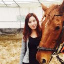 한솔승마장 네이버블로그