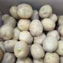 혜성농장 이미지