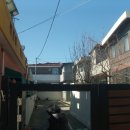서구-62 이미지