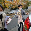 [경기도 수원] 멍그라운드 : 수원 애견카페, 루프탑 외부 테라스 운동장