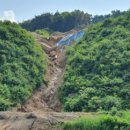 꿀벌태양광발전소 이미지