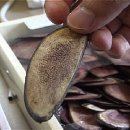 장경한의원 이미지