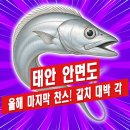 태안호스릴-23 | 서해 충남 태안 안면도 도보 워킹 갈치 풀치 루어 텐야 원투 낚시 잘잡히는 포인트 추천
