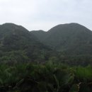 덕수리-4 이미지