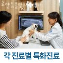 로얄동물암치료센터 이미지