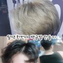 원킬복싱체육관 | 원킬탈색 교육후기/네코에헤어 준쌤