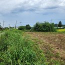 양지바른 이미지