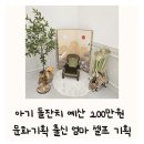 향동세탁소 | 서울 고양 가성비 돌잔치 예산 200만원 엄마 아빠 아기 의상 추천