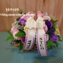 STCO속초