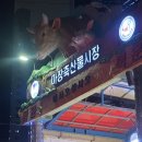 명성정육점 이미지