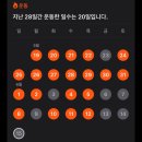 두차의 6월 둘째 주 일상 기록 📣