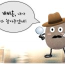 돌블리