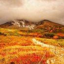 태정목장 이미지