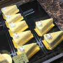 피오르달리조 안동대점 이미지