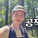 [Hiking] 강원 홍천 공작산 등산 | 나홀로 아름다운 공작의 날개위를 걷다🦚 이미지