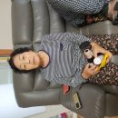 식료품 전달 이미지