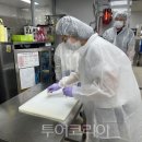 지산관광여행사 이미지
