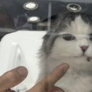 활기찬동물병원 이미지