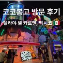 클럽 코코 관광나이트 | 칸쿤 플라야 델 카르멘 여행 필수 코스 코코봉고 가격 분위기 꿀팁 방문 후기 총정리