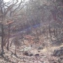 신명길R 이미지