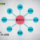 호랑이약국 이미지