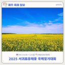2025년 국제꽃장식대회 | [제주축제정보] 2025년 서귀포유채꽃 국제걷기대회 후기