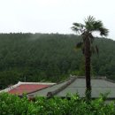 창천목장 이미지