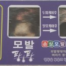 큐사랑염색방영동 이미지