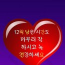 다음은 2024호 금빛 인생열차 이미지