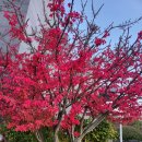 참(charm)행정사 사무소 이미지