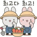 자라호텔 이미지