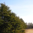 녹동중학교 이미지