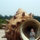 들꽃향기 사랑방 이미지