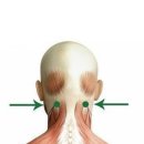 얘들아 너네도 뒷목 여기 누르면 아픔?? 이미지