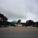 꿈의광장 이미지