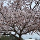 동안동카 이미지