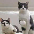 주식회사 에듀코리아 | [속보] 2024 에듀테크 코리아 페어 사전등록이 시작되어...