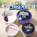 오이코스 | 일본 그릭요거트 오이코스 vs 한국 요프로 비교 후기 (단백질 요거트 추천)