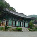 대안사 경내 이미지