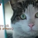 행복복권방 이미지