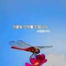 10월1일(목) 톡톡수다방 끝말잇기 이미지