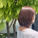 전주미용실 이환헤어궁 본점 레이어드컷&amp; 펌 후기 (민지 디자이너)