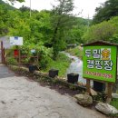 두밀숲캠핑장 이미지