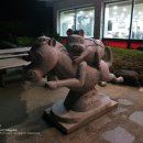 말이랑흑도새기랑 이미지