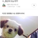 대천주민센터 마당 | 춘천 여행 코스 추천 : KT&amp;G 상상마당, 의암호 흔들 다리 입장료, 주차 정보
