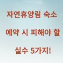 자연휴양림 숙소 예약 시 피해야 할 실수 5가지!